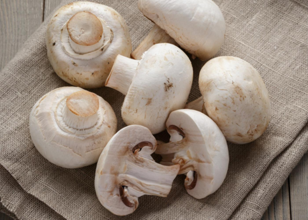 Mushroom health benefits