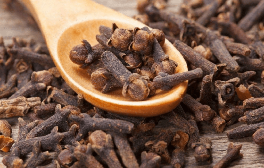 health benefits of clove